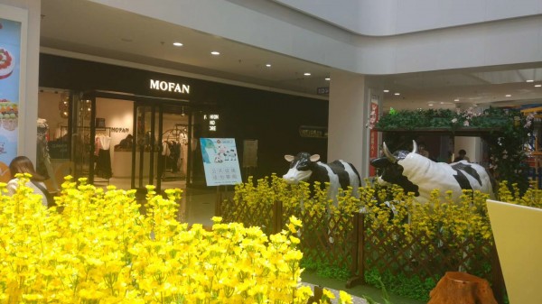 寶麗春暖花開
